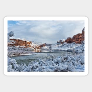 Colorado River Sticker